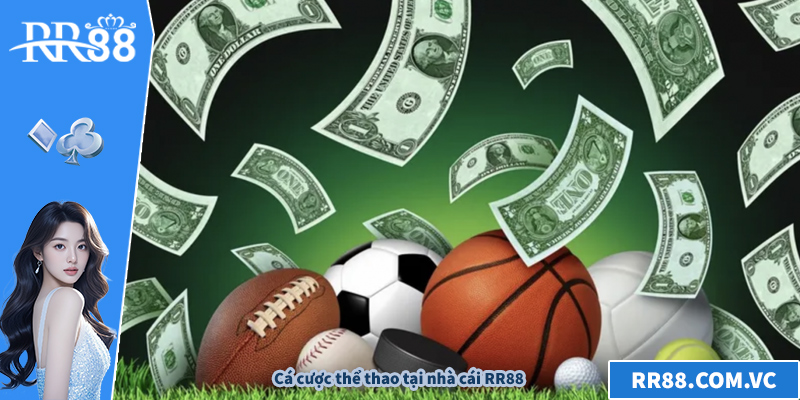 Cá cược thể thao tại nhà cái RR88