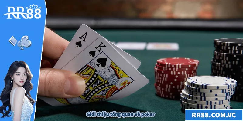 Poker - Bí Mật Chơi Poker Không Bao Giờ Thua Lỗ Tại RR88 Giới thiệu tổng quan về poker