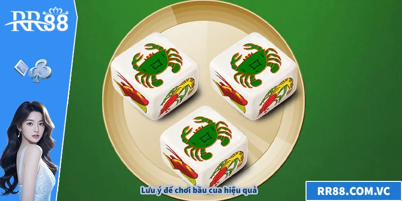 Lưu ý để chơi bầu cua hiệu quả