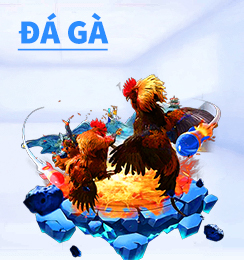 Sảnh Đá Gà RR88