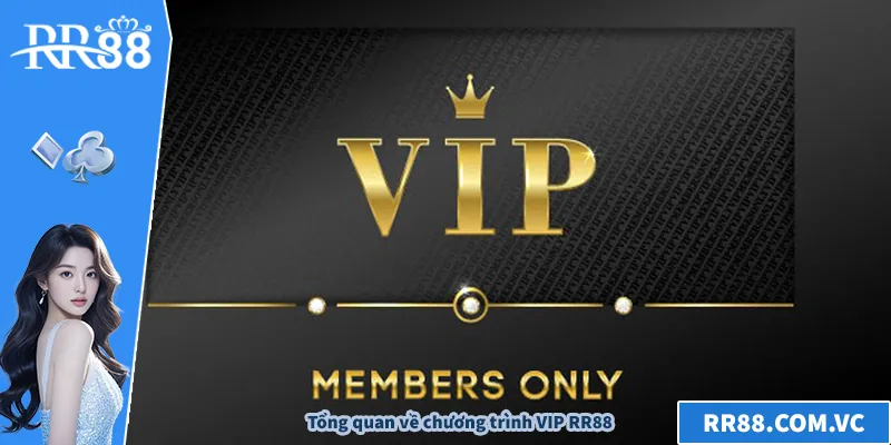 VIP RR88 – Trải Nghiệm Đỉnh Cao Cho Thành Viên Thượng Hạng Tổng quan về chương trình VIP RR88