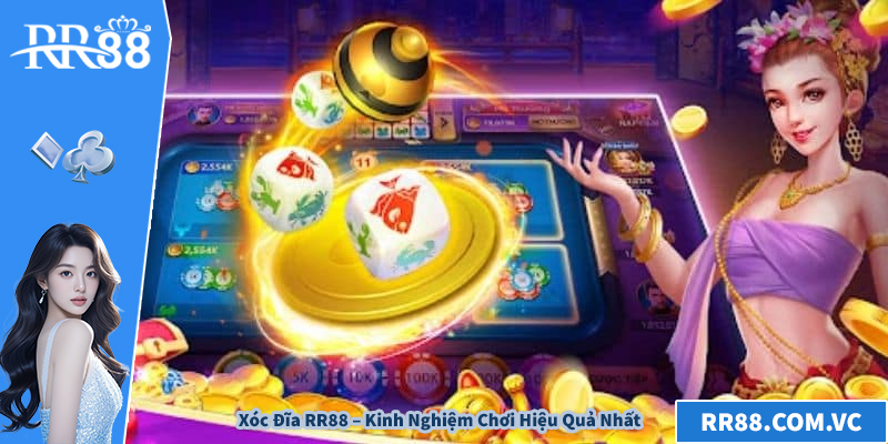 Xóc Đĩa RR88 – Kinh Nghiệm Chơi Hiệu Quả Nhất